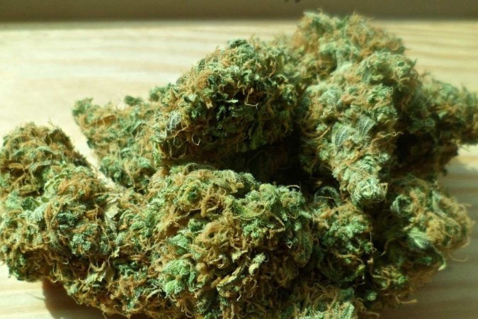 Cannabis use linked to lower severity of Covid-19 symptoms - The Goa  Spotlight