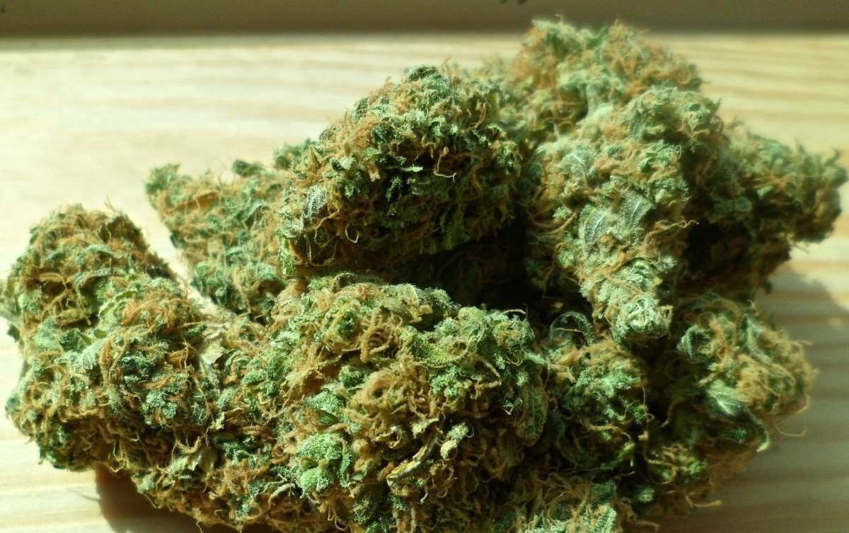 Uso de maconha não está associado ao desenvolvimento de psicose, diz estudo