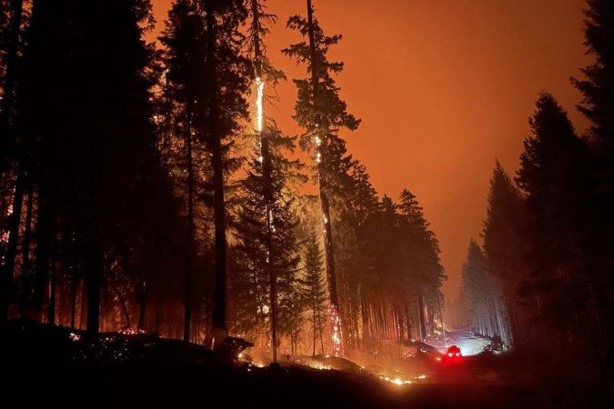  (crédito: HANDOUT / OREGON STATE FIRE MARSHAL / AFP)