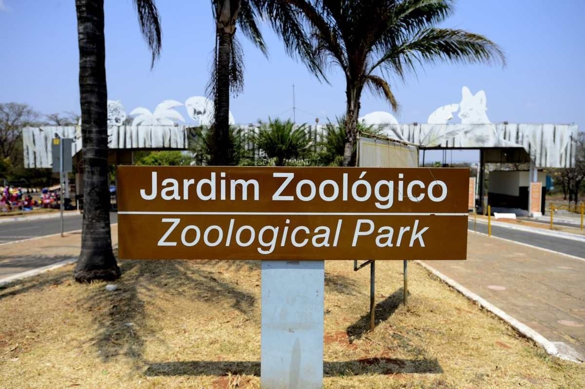 Zoológico de Brasília terá vacinação contra covid-19 e influenza no domingo