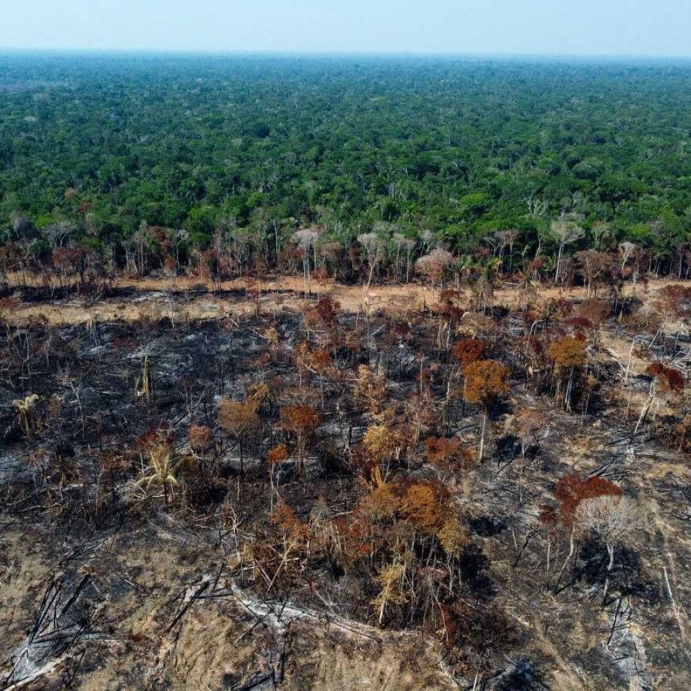 Contra a irresponsabilidade e a insensatez: não vá à Galeria do