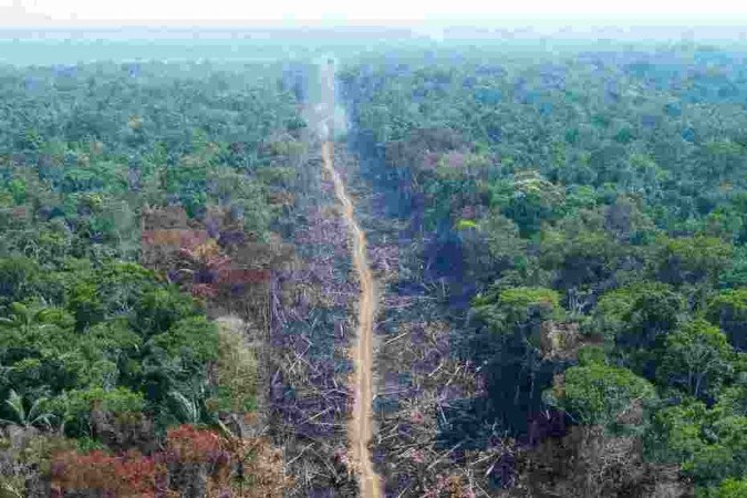 MEIO AMBIENTE: Amazônia bate recorde de desmatamento para o mês de outubro