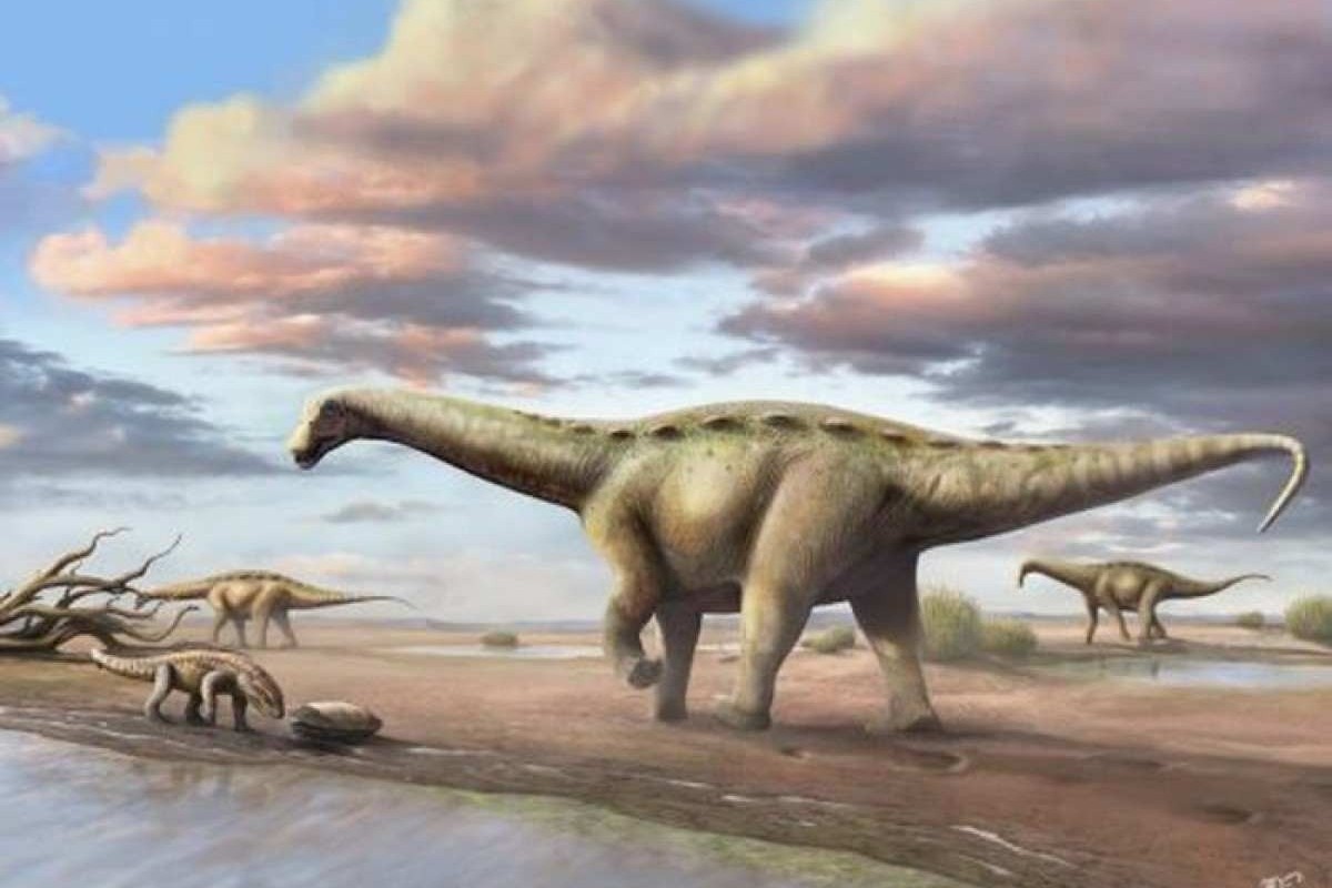 Fósseis de primeiro dinossauro gigante são descobertos