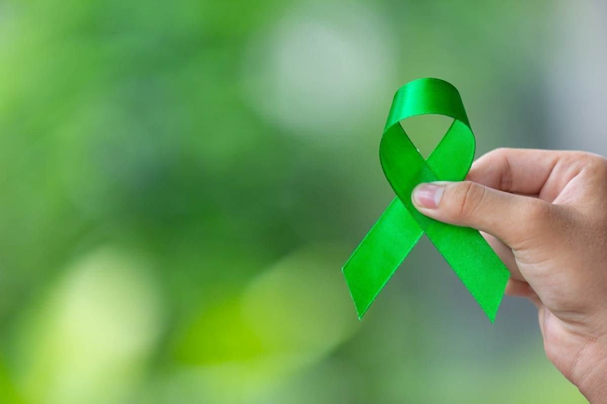Artigo: Setembro Verde pede mais inclusão e acessibilidade