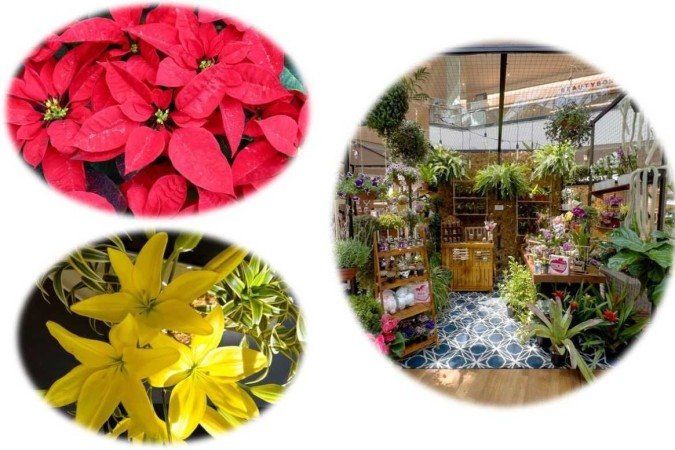 22/09/2022 - Revista do Correio - Evento de primavera no ParkShopping 