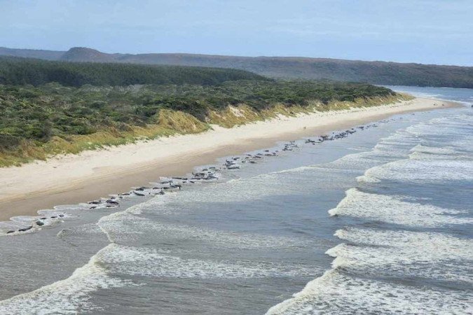 (crédito: Departamento de Recursos Naturais e Meio Ambiente da Tasmânia) (crédito: Departamento de Recursos Naturais e Meio Ambiente da Tasmânia)
