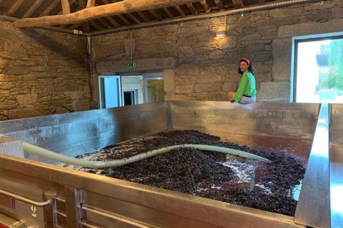 Fernanda Zuccaro mostra as uvas colhidas para a produ&ccedil;&atilde;o de vinhos em sua vin&iacute;cola