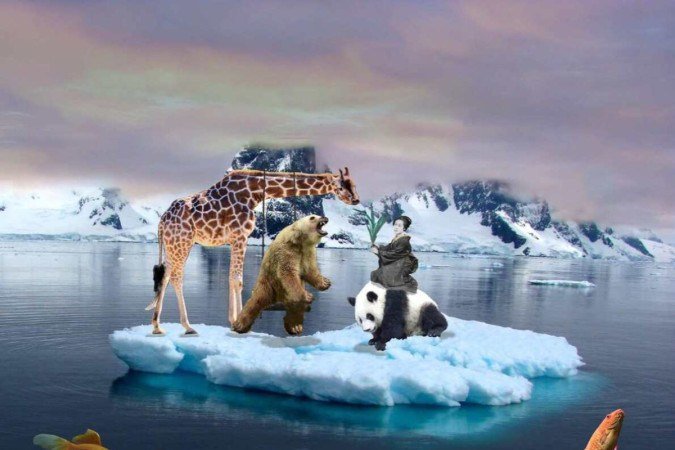 Imagens de Silenciamentos indomáveis