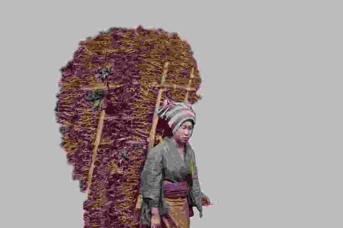 Silenciamentos Indomáveis - Através da colagem digital, artista visual Akimi Watanabe reflete sobre 