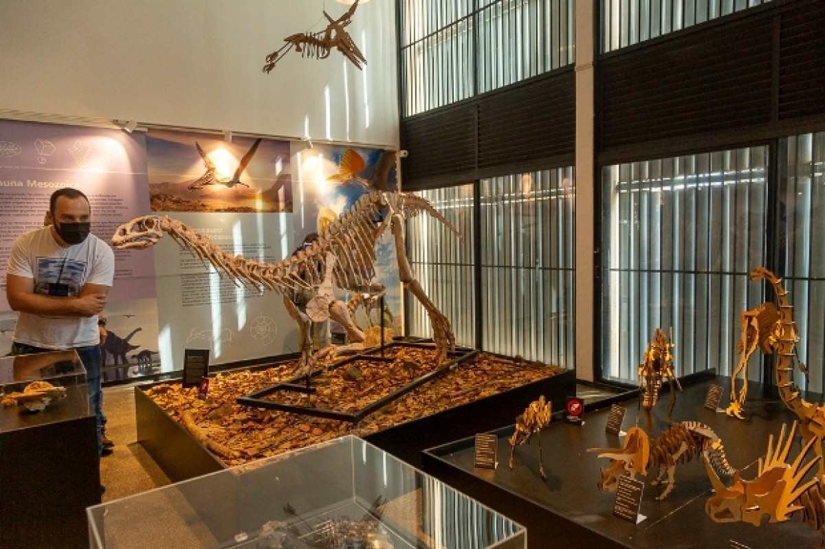 UnB inaugura mostra sobre evolução do planeta no Museu de Geociências