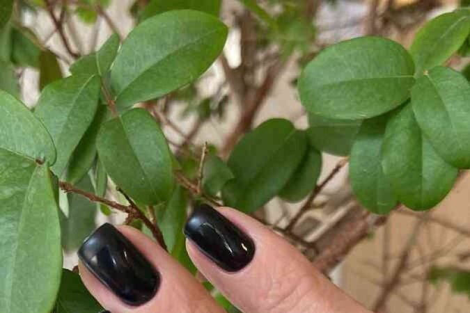 Francesinha estilizada 