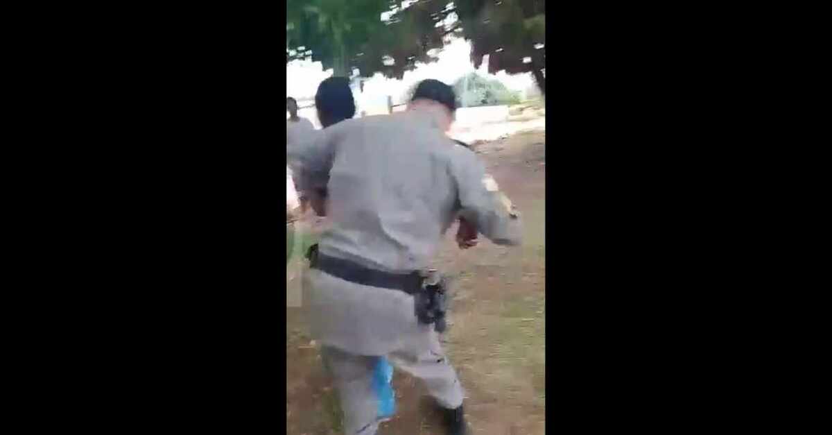  (crédito: Reprodução/Twitter/@andrecaramante)