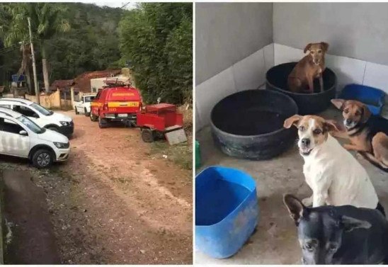  Corpo de Bombeiros/Divulgação