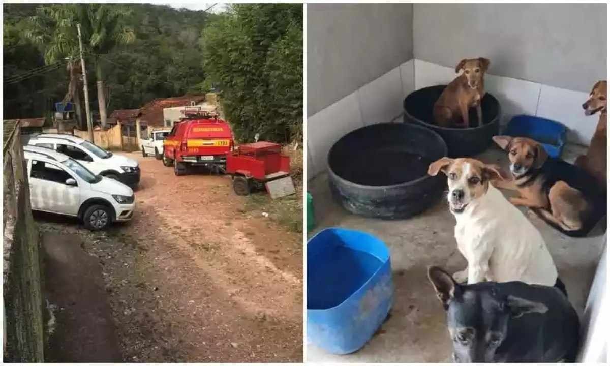 Bombeiros resgatam 12 cães após morte de tutor em Minas