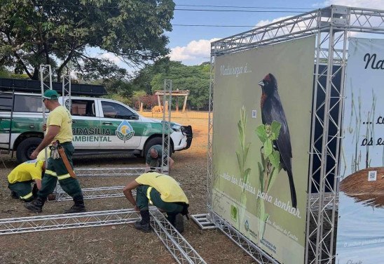  Zoológico de Brasília/Divulgação