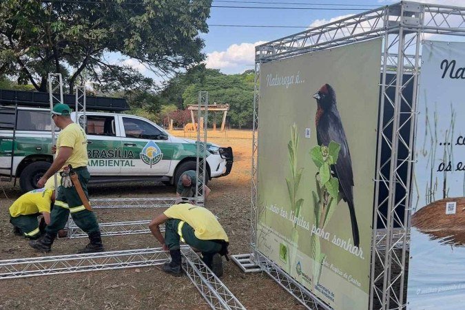 Preparação do Zoo para o Dia das Crianças 2022 - (crédito: Zoológico de Brasília/Divulgação) Preparação do Zoo para o Dia das Crianças 2022 - (crédito: Zoológico de Brasília/Divulgação)