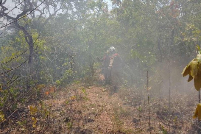 Bombeiros de Goiás combatem incêndio em Cavalcante, na Chapada dos Veadeiros - (crédito: CBMGO/Divulgação) Bombeiros de Goiás combatem incêndio em Cavalcante, na Chapada dos Veadeiros - (crédito: CBMGO/Divulgação)