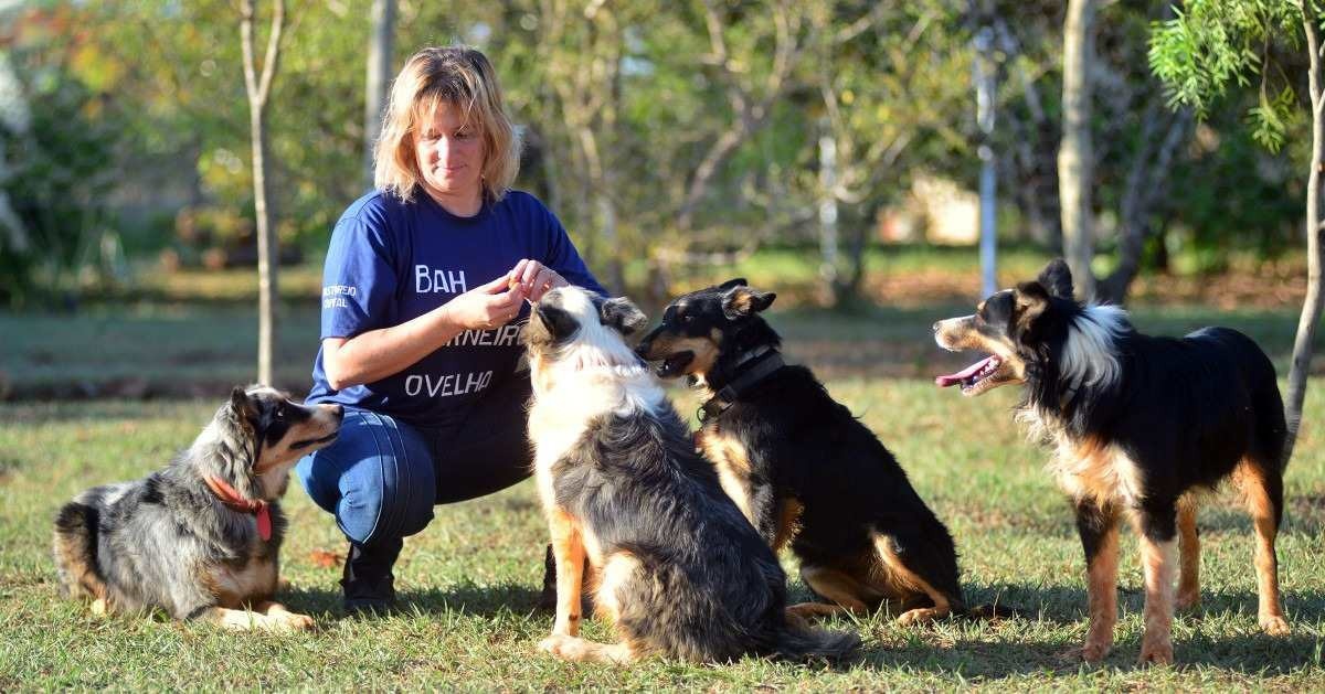 Adestramento profissional de cães é uma garantia para os tutores