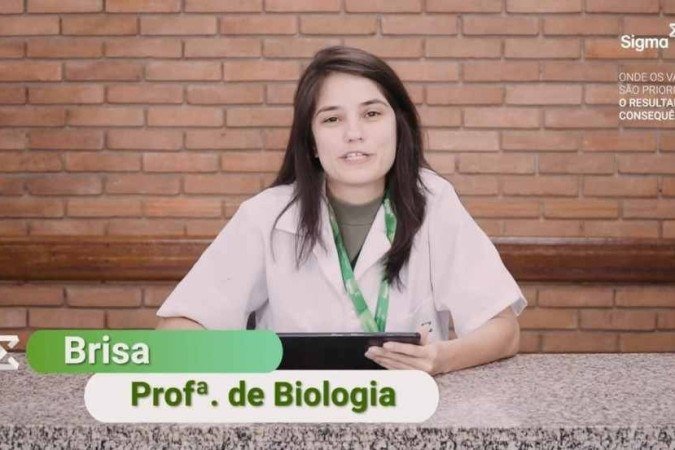 (crédito: Reprodução/ Youtube) (crédito: Reprodução/ Youtube)