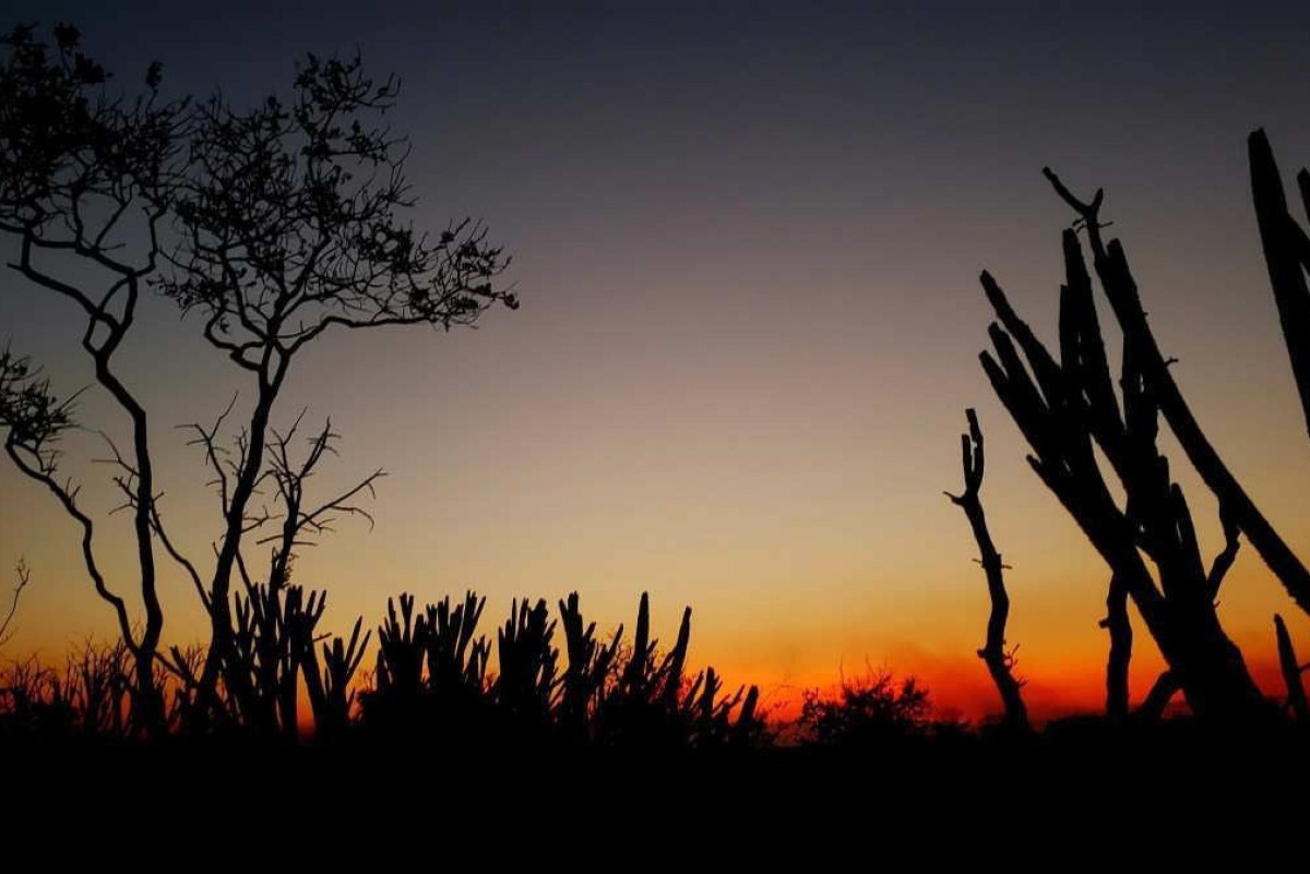 Tempo: DF terá máxima de 27°C e dia seco com umidade do ar em 25%