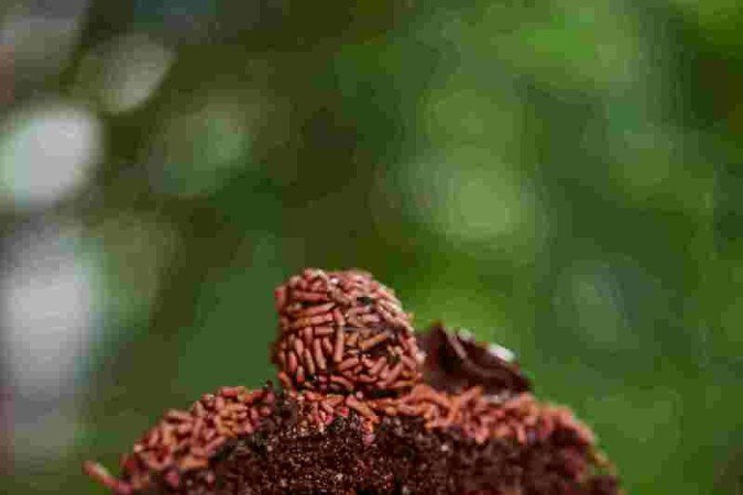 Bolo de chocolate com brigadeiro do Quitutices sem glúten