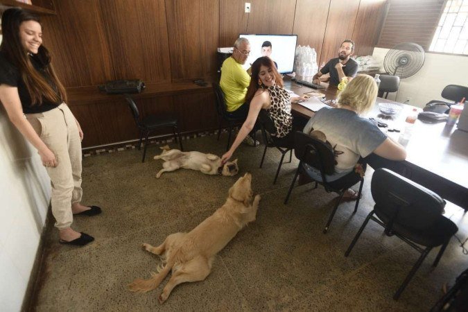  19/10/2022 Crédito: Minervino Junior/CB. Caderno Escolha a Escola do seu filho. Centro Educacional 8 do Gama. Projeto Cãoterapia que consiste nas cadelas para acalmar os alunos. Lolla e Nina(cadelas).