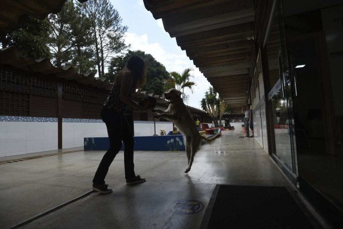  Projeto Cãoterapia que consiste nas cadelas para acalmar os alunos. Lolla e Nina(cadelas).