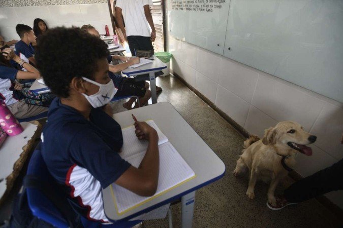  19/10/2022 Crédito: Minervino Junior/CB. Caderno Escolha a Escola do seu filho. Centro Educacional 8 do Gama. Projeto Cãoterapia que consiste nas cadelas para acalmar os alunos. Lolla e Nina(cadelas).