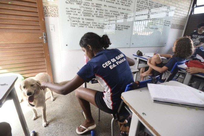 19/10/2022 Crédito: Minervino Junior/CB. Caderno Escolha a Escola do seu filho. Centro Educacional 8 do Gama. Projeto Cãoterapia que consiste nas cadelas para acalmar os alunos. Lolla e Nina(cadelas).