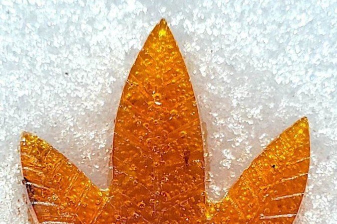 Polímero à base de canabidiol em forma de folha de cânhamo.