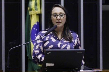 Segundo a presidente do partido, Renata Abreu, a decisão será tomada de forma coletiva com os diretórios estaduais -  (crédito: Najara Araújo/Câmara dos Deputados)