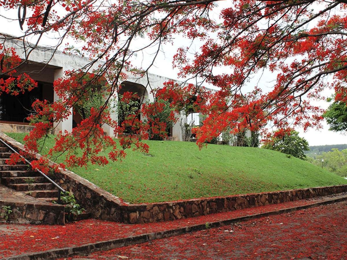 Em novembro, meditação baseada em neuropsicologia ocorre no Mosteiro de São Bento