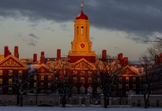 Rose Lincoln/Harvard University