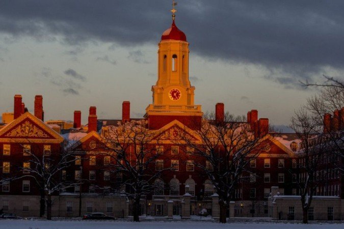 (crédito: Rose Lincoln/Harvard University) (crédito: Rose Lincoln/Harvard University)