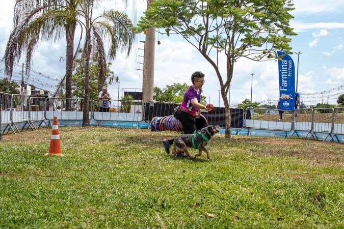Thayse e a esposa cuidam, diariamente, de quase 50 animais em hotel para pets