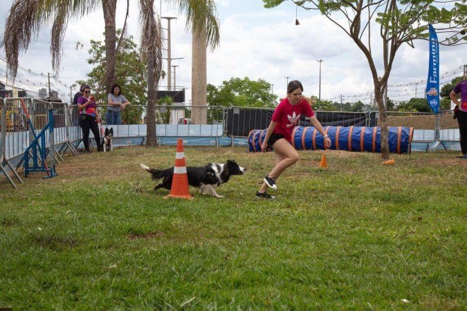 A farmacêutica Nathália Cangussu Ferraz, 34 anos, nunca tinha tido um cachorro, até que se apaixonou por um border collie