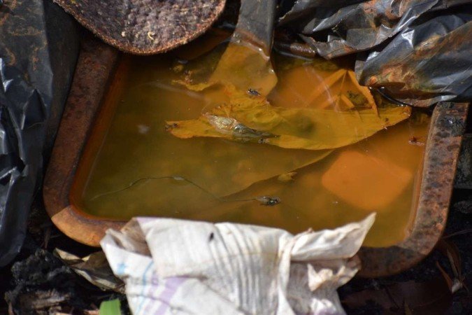  04/11/2022. CrÃ?Â©dito: Mariana Lins/Esp.CB/D.A Press-Dengue-L2 Norte 