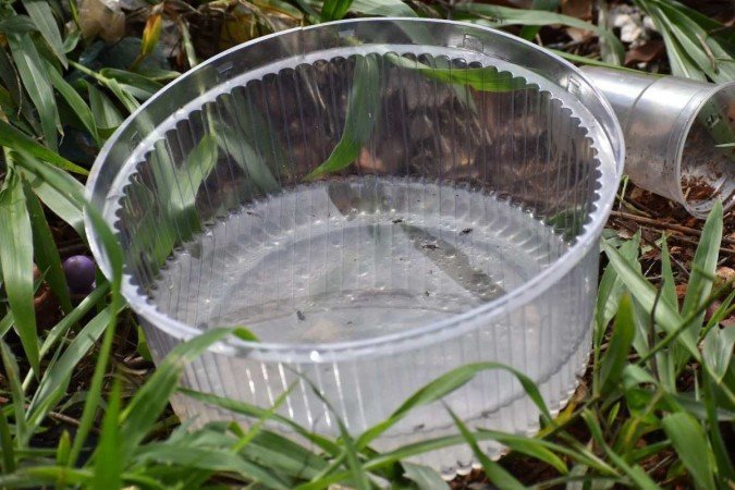  04/11/2022. Crédito: Mariana Lins/Esp.CB/D.A Press-Dengue-L2 Norte 