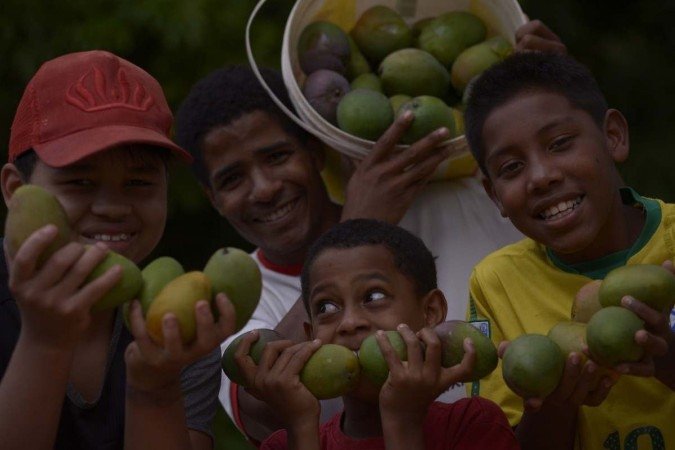 Perto do Palácio do Buriti, Roniscalem (que não quis ser fotografado) colhe mangas com os filhos Roniel (D) e Luís Fernando (M); o sobrinho Tailan (E) e o cunhado Jonathan (com o balde)