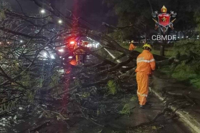  Os militares cortaram os galhos e troncos da árvore para desobstruir a via. Não houve feridos e nenhum veículo foi atingido pelas quedas.