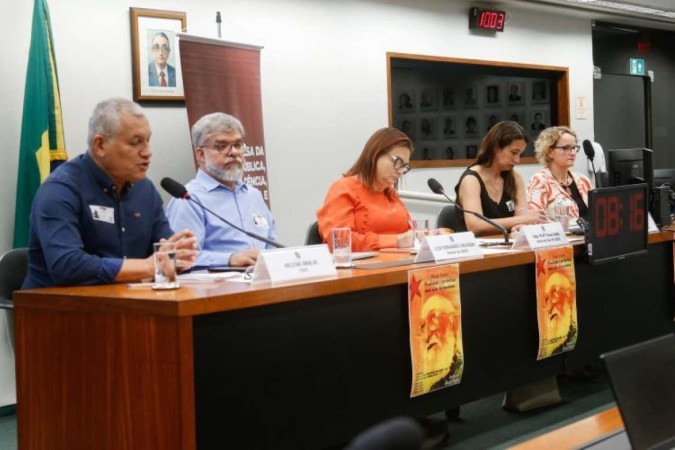 Audiência debateu resoluções do CNE sobre a formação de professores -  (crédito: Elaine Menke/Câmara dos Deputados)