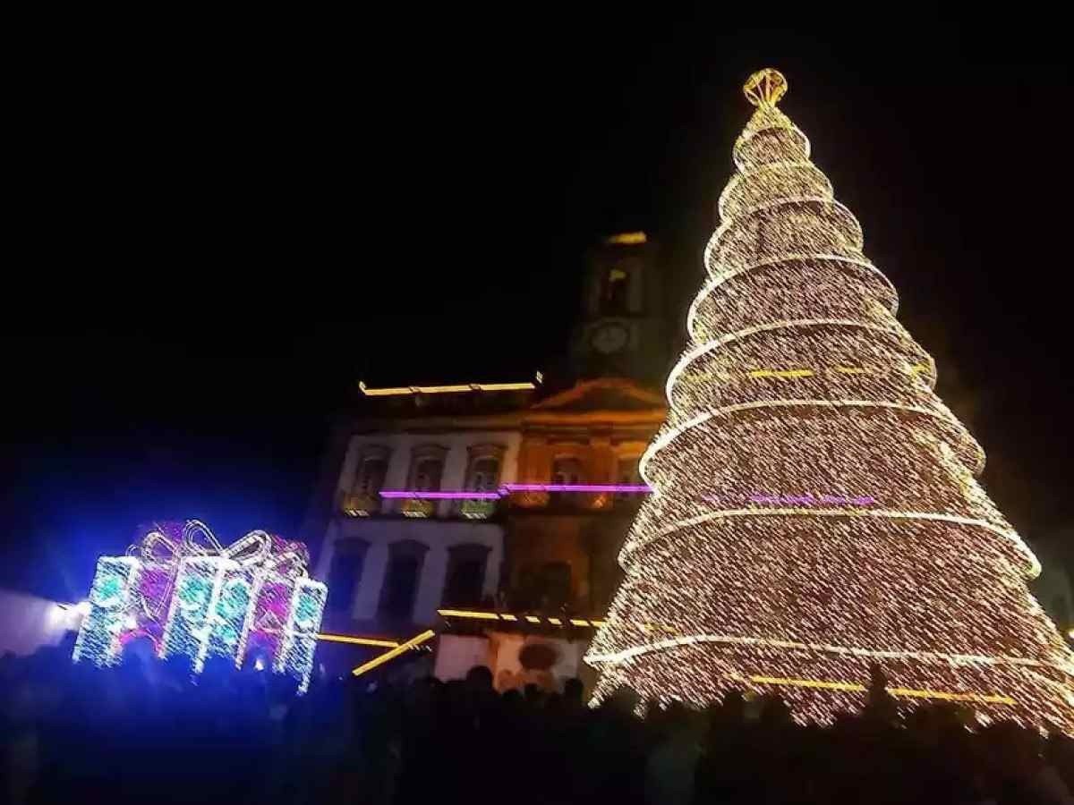 Árvore de 18m de altura é destaque em Natal de Luz de Ouro Preto