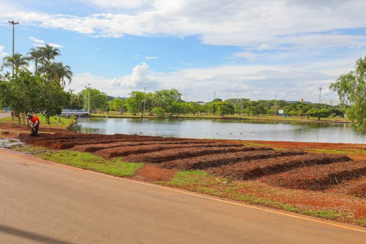  A aração do solo do segundo canteiro do Parque da Cidade Sarah Kubitschek está sendo finalizada e, na próxima semana, começa o plantio de hortaliças