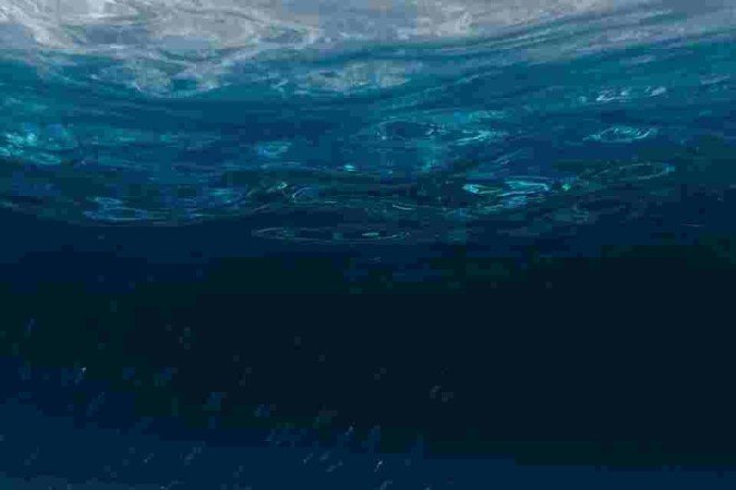 A descoberta revela que, há 88 milhões de anos, tartarugas gigantes de quase 4 metros navegavam pelos mares da Europa