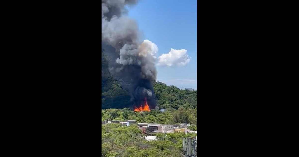  (crédito: Reprodução/Twitter/@ginho976)