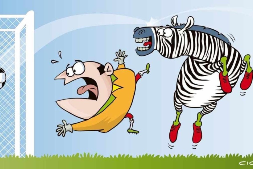 Qualidade de Vida: Jogo do Bicho and the Zebra