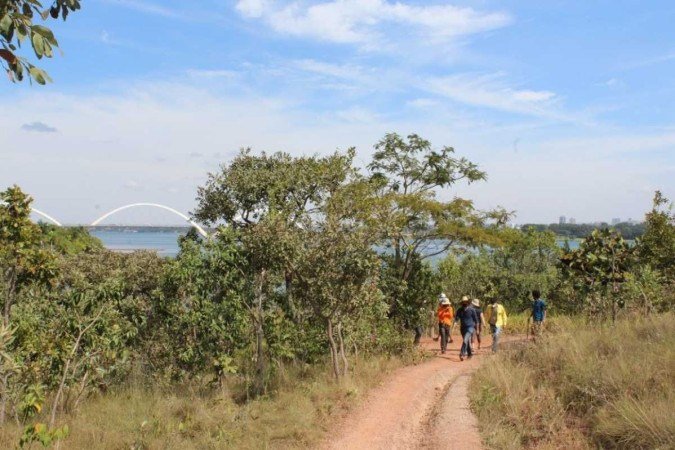 (crédito: Divulgação/Instituto Brasília Ambiental) (crédito: Divulgação/Instituto Brasília Ambiental)
