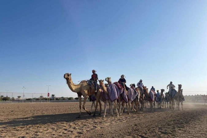 Corrida de camelos é esporte tradicional no Catar, país que sedia a Copa do Mundo de futebol. -  (crédito: João Vitor Marques/EM/DA Press)