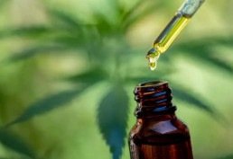 Tratamento com cannabis ajuda a manter bem-estar feminino