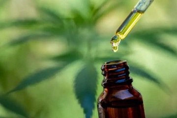 A proposta prevê critérios técnicos de qualidade, segurança sanitária e rastreabilidade da cannabis - (crédito: Reprodução/Adobe stock) A proposta prevê critérios técnicos de qualidade, segurança sanitária e rastreabilidade da cannabis - (crédito: Reprodução/Adobe stock)